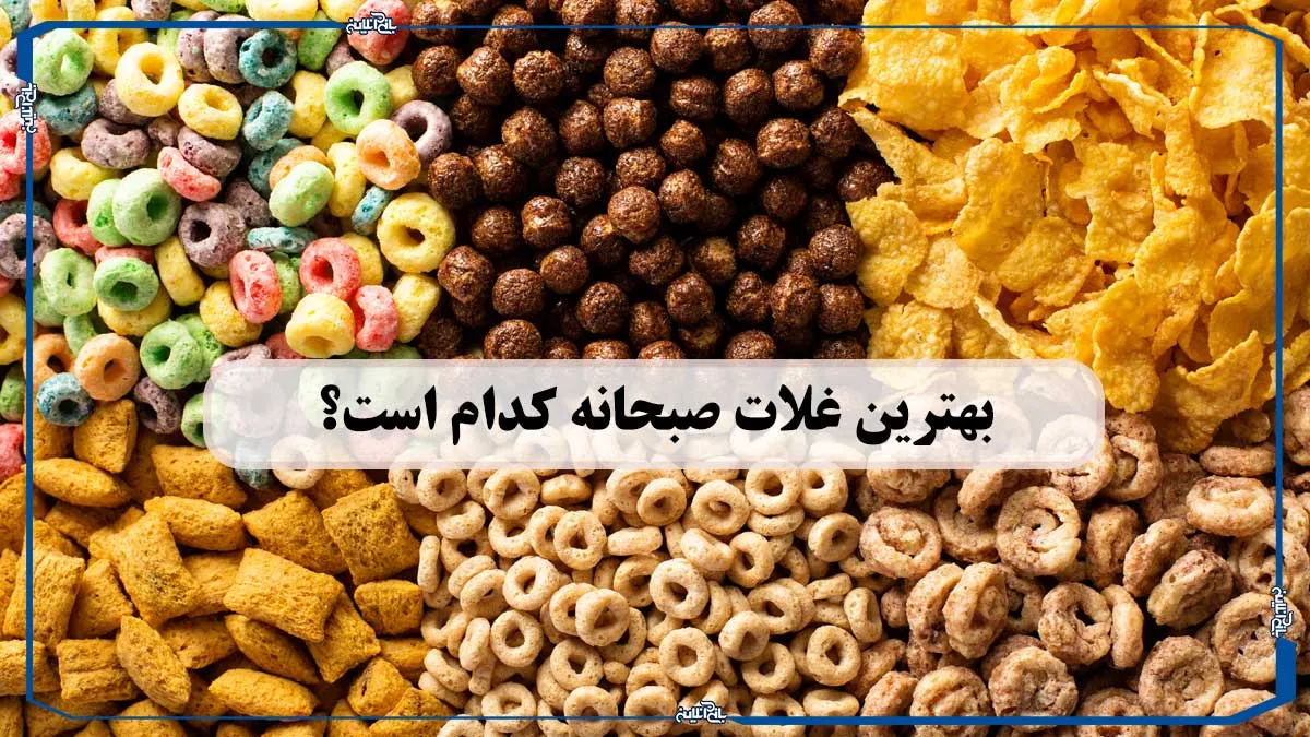 بهترین غلات صبحانه کدام است؟ راهنمای انتخاب و مقایسه انواع غلات صبحانه