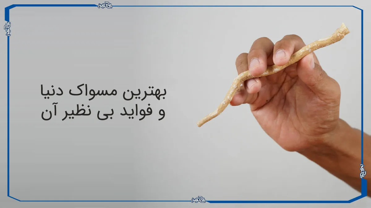بهترین مسواک دنیا و فواید بی نظیر آن