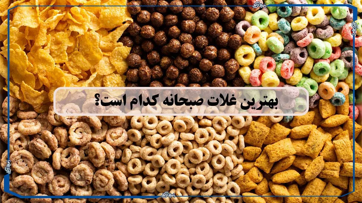 بهترین غلات صبحانه کدام است؟ راهنمای انتخاب و مقایسه انواع غلات صبحانه
